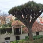 Фото 1:1 - iestafeta.com