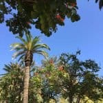 Фото 1:1 - iestafeta.com