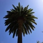 Фото 1:1 - iestafeta.com