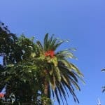 Фото 1:1 - iestafeta.com