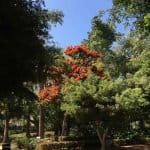 Фото 1:1 - iestafeta.com