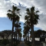 Фото 1:1 - iestafeta.com