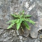 Фото 1:1 - iestafeta.com