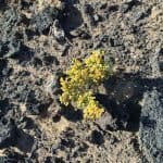 Фото 1:1 - iestafeta.com