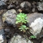 Фото 1:1 - iestafeta.com