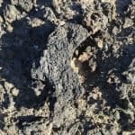 Фото 1:1 - iestafeta.com