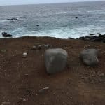 Фото 1:1 - iestafeta.com