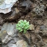 Фото 1:1 - iestafeta.com