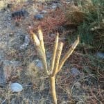 Фото 1:1 - iestafeta.com