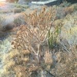 Фото 1:1 - iestafeta.com