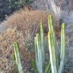 Фото 1:1 - iestafeta.com