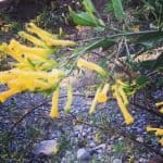 Фото 1:1 - iestafeta.com