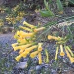 Фото 1:1 - iestafeta.com