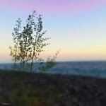 Фото 1:1 - iestafeta.com