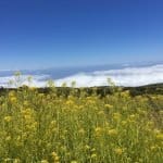 Фото 1:1 - iestafeta.com