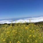 Фото 1:1 - iestafeta.com