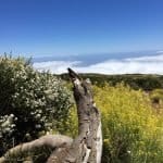 Фото 1:1 - iestafeta.com