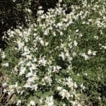 Фото 1:1 - iestafeta.com