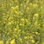 Фото 1:1 - iestafeta.com