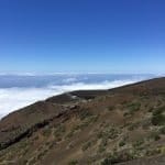 Фото 1:1 - iestafeta.com