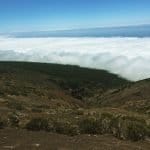 Фото 1:1 - iestafeta.com