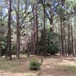 Фото 1:1 - iestafeta.com