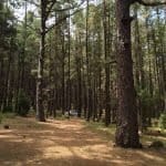 Фото 1:1 - iestafeta.com