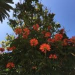 Фото 1:1 - iestafeta.com