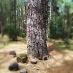 Фото 1:1 - iestafeta.com