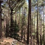 Фото 1:1 - iestafeta.com