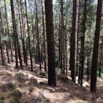 Фото 1:1 - iestafeta.com