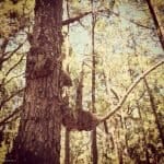 Фото 1:1 - iestafeta.com