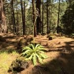 Фото 1:1 - iestafeta.com