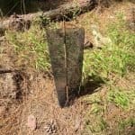 Фото 1:1 - iestafeta.com