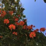 Фото 1:1 - iestafeta.com