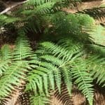 Фото 1:1 - iestafeta.com