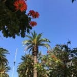 Фото 1:1 - iestafeta.com