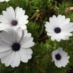 Фото - iestafeta.com