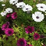 Фото - iestafeta.com