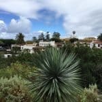 Фото - iestafeta.com