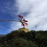 Фото - iestafeta.com