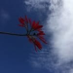 Фото - iestafeta.com