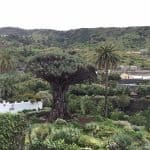 Фото - iestafeta.com