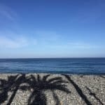 Фото - iestafeta.com