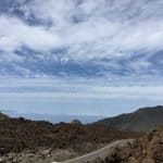 Фото - iestafeta.com