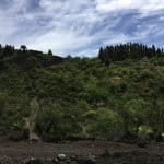 Фото - iestafeta.com