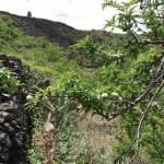 Фото - iestafeta.com