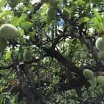 Фото - iestafeta.com