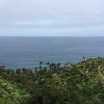 Фото - iestafeta.com