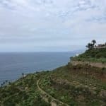 Фото - iestafeta.com